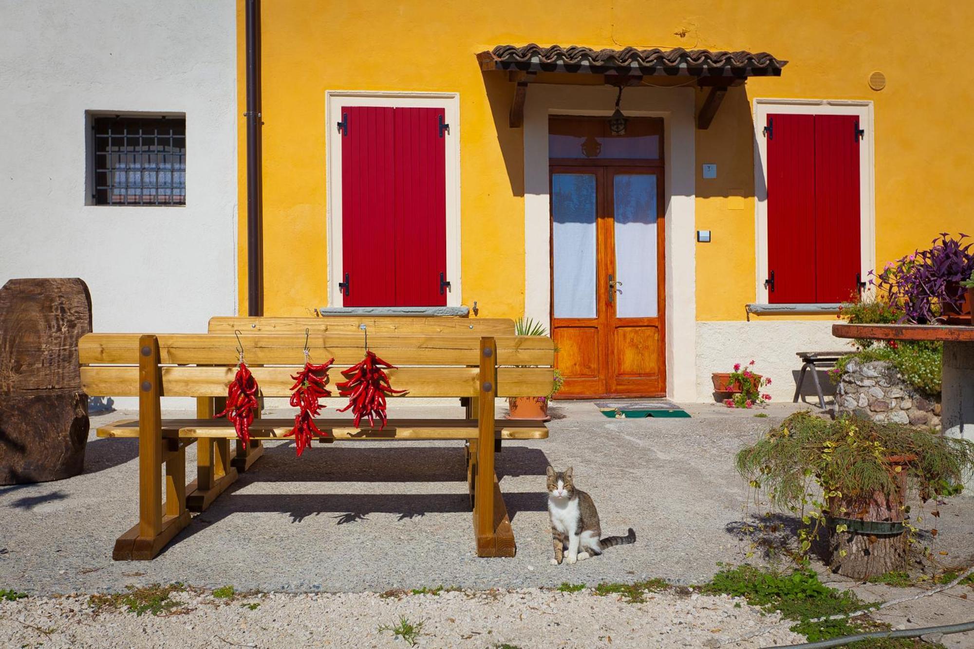Agriturismo Con Cucina Tipica Nuova Scardua 카브리아나 외부 사진